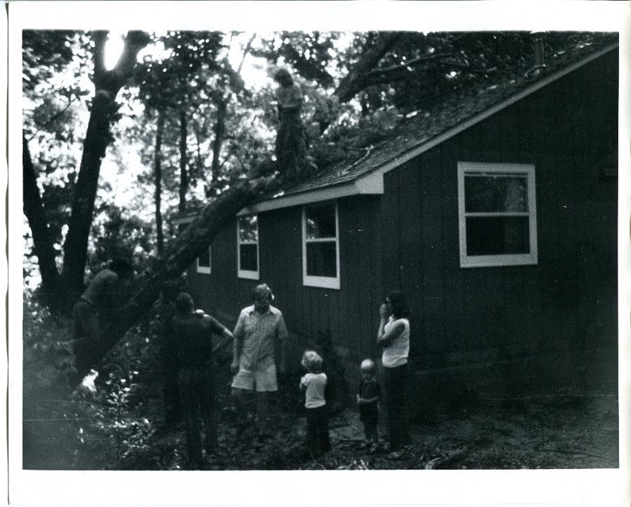 Windstorm 1973 Ponderosa Cabin damage